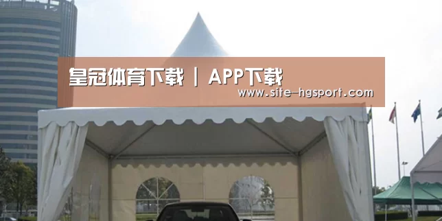 案例标题八