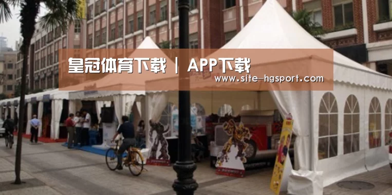 案例标题九