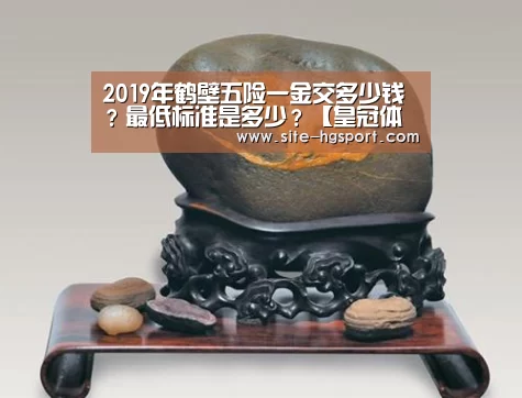 2019年鹤壁五险一金交多少钱？最低标准是多少？【皇冠体育下载】