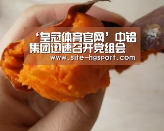 ‘皇冠体育官网’中铝集团迅速召开党组会责成广西稀土就环保问题全面彻底排查整改(图1) 皇冠体育网址