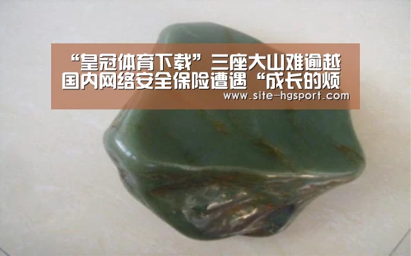 “皇冠体育下载”三座大山难逾越 国内网络安全保险遭遇“成长的烦恼”(图1) 皇冠体育官网