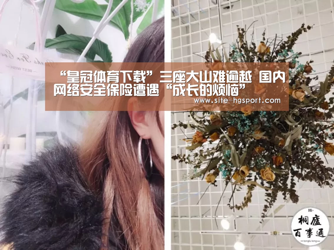 “皇冠体育下载”三座大山难逾越 国内网络安全保险遭遇“成长的烦恼”(图3) 皇冠体育app