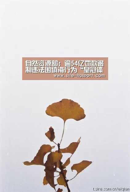 自然资源部:逾54亿罚款遏制违法围填海行为“皇冠体育下载”(图2) 皇冠体育官网