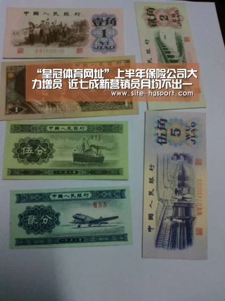 “皇冠体育网址”上半年保险公司大力增员 近七成新营销员月均不出一单(图3) 皇冠体育网址