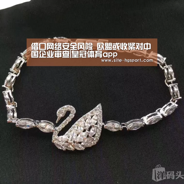 借口网络安全风险 欧盟或收紧对中国企业审查|皇冠体育app(图1) 皇冠体育网址