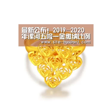 最新公布!2019-2020年漯河五险一金缴纳比例基数及最低标准“皇冠体育网址”