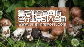 皇冠体育官网|有色行业需引入合同环境服务