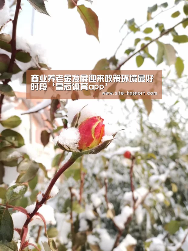 皇冠体育网址