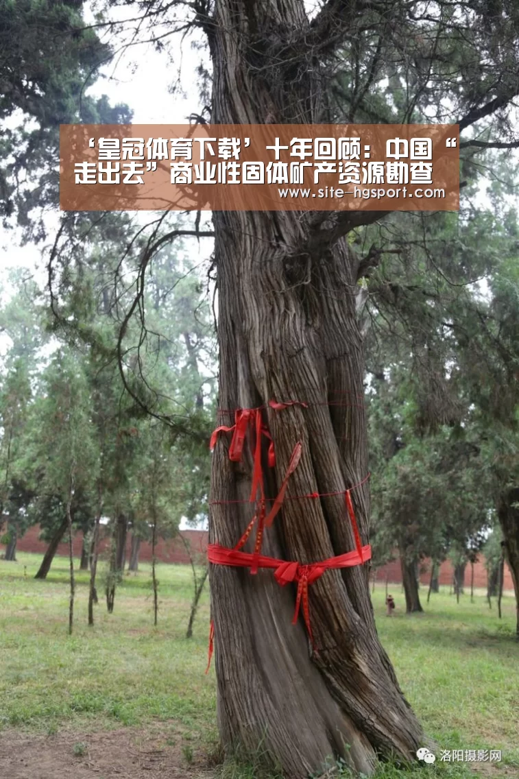 ‘皇冠体育下载’十年回顾:中国“走出去”商业性固体矿产资源勘查市场(图2) 皇冠体育官网