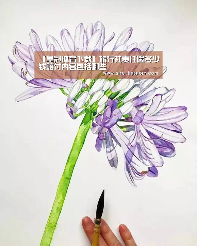【皇冠体育下载】旅行社责任险多少钱赔付内容包括哪些(图1) 皇冠体育app