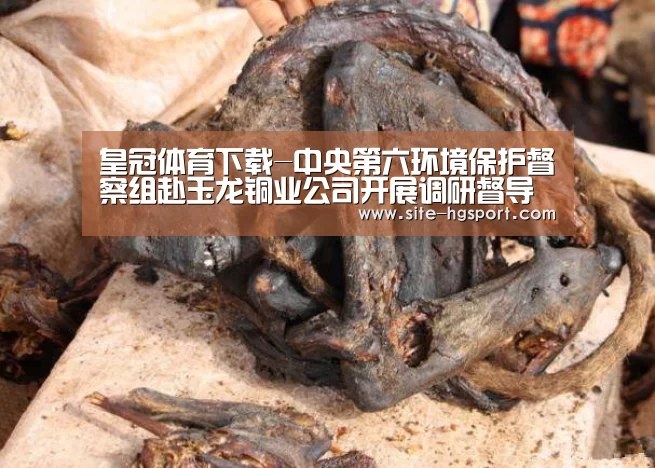皇冠体育下载-中央第六环境保护督察组赴玉龙铜业公司开展调研督导工作(图2) 皇冠体育下载
