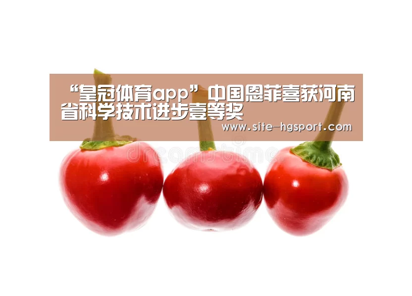 “皇冠体育app”中国恩菲喜获河南省科学技术进步壹等奖(图3) 皇冠体育网址