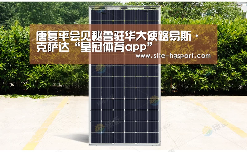 唐复平会见秘鲁驻华大使路易斯·克萨达“皇冠体育app”(图2) 皇冠体育下载
