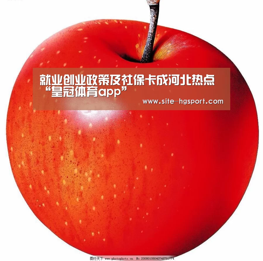 就业创业政策及社保卡成河北热点“皇冠体育app”(图2) 皇冠体育app