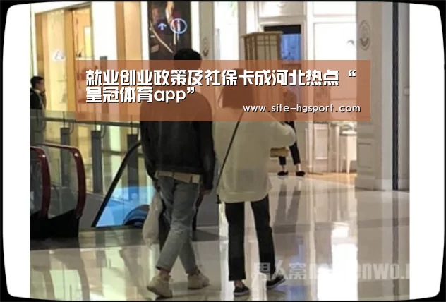 就业创业政策及社保卡成河北热点“皇冠体育app”(图3) 皇冠体育官网