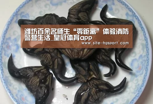 潍坊百余名师生“零距离”体验消防警营生活_皇冠体育app(图3) 皇冠体育网址