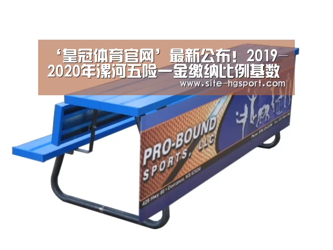 ‘皇冠体育官网’最新公布!2019-2020年漯河五险一金缴纳比例基数及最低标准(图3) 皇冠体育官网